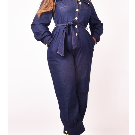 Curvy Chic Denim Jumpsuit Salon 1974