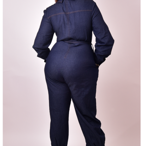 Curvy Chic Denim Jumpsuit Salon 1974
